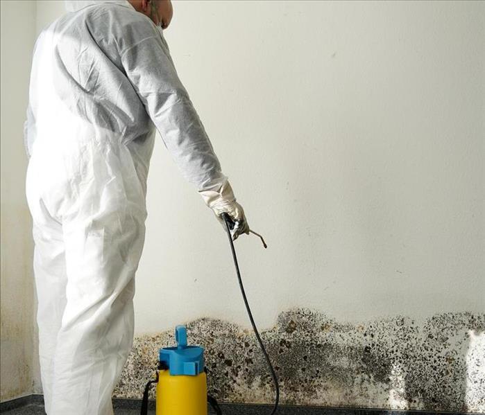 A person cleaning black mold.